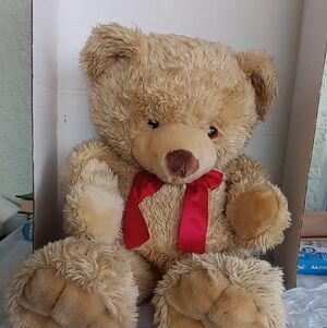 INTENTIONALLY BLANK Tan Teddy Bear with Red Bow